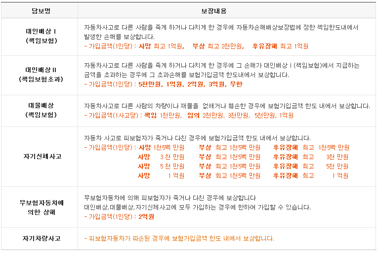 보장내용